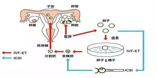 上海根本国际医疗的医疗质量评估